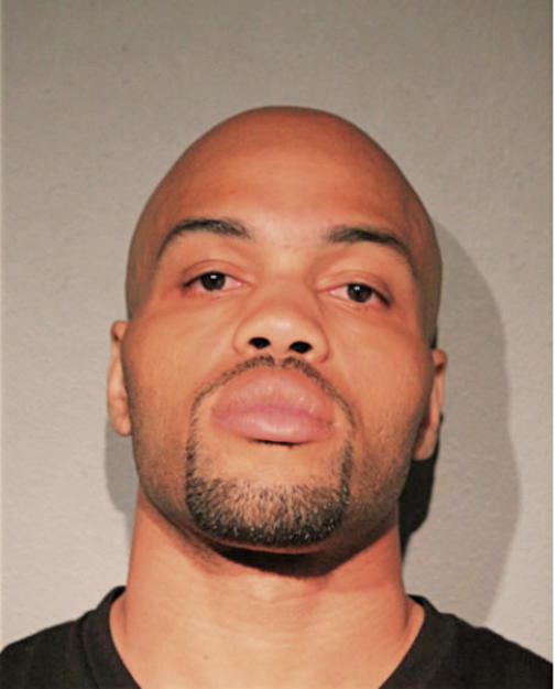 MICHAEL P BRONSON, Cook County, Illinois