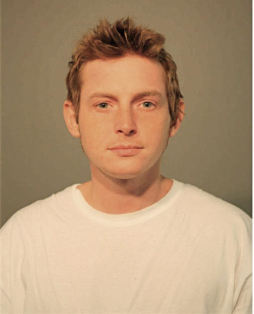 KAMIL D BROZ, Cook County, Illinois