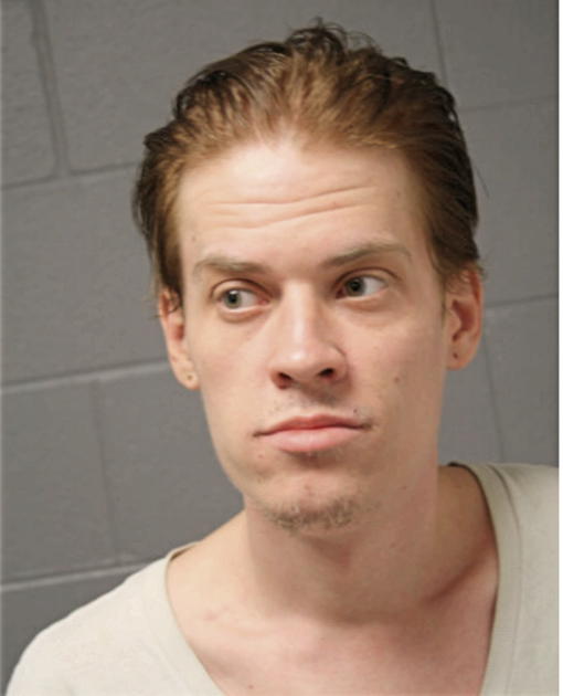 JONATHAN C BUJNOWSKI, Cook County, Illinois