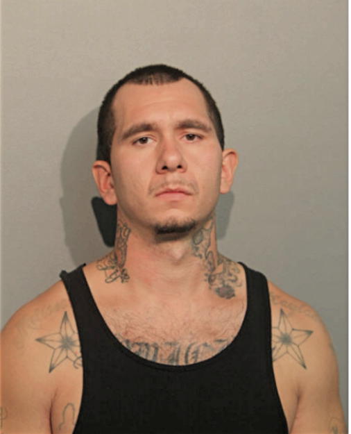 KYLE J CARCIONE, Cook County, Illinois