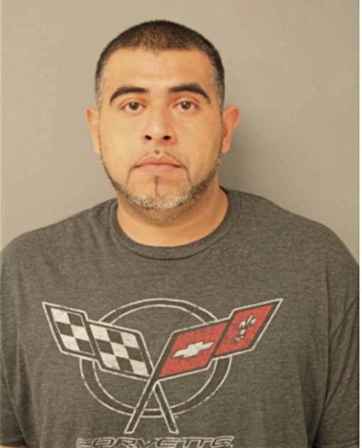 LUIS FERRNANDO CEDILLO, Cook County, Illinois