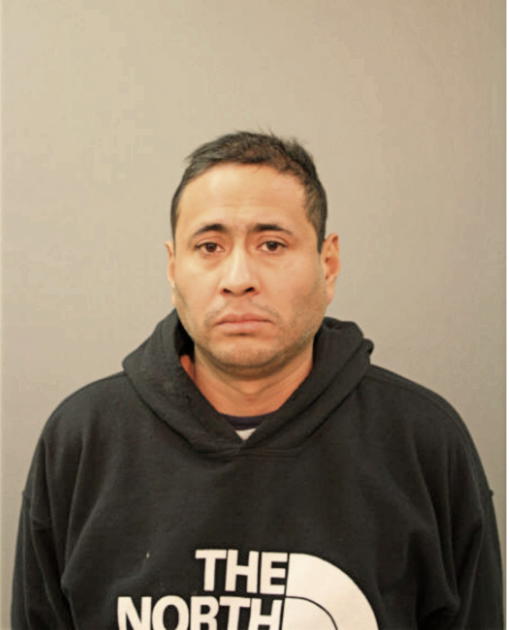 FAUSTO DOMINGUEZ, Cook County, Illinois