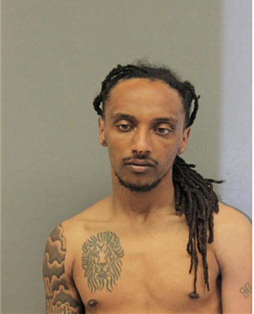 SAMUEL ENDALKAHEW, Cook County, Illinois