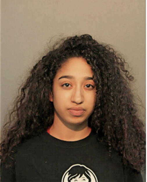 ALAA MOHAMED FARGE, Cook County, Illinois