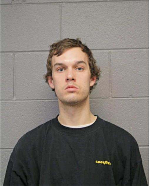 ADAM B FELDMAN, Cook County, Illinois