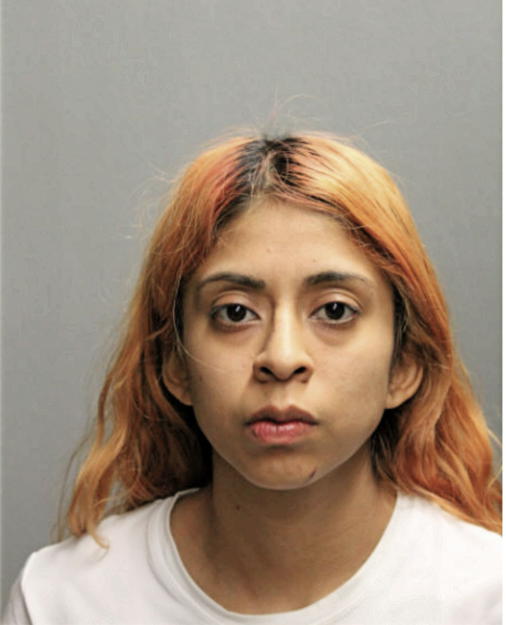 JANELLY FIGUEROA, Cook County, Illinois