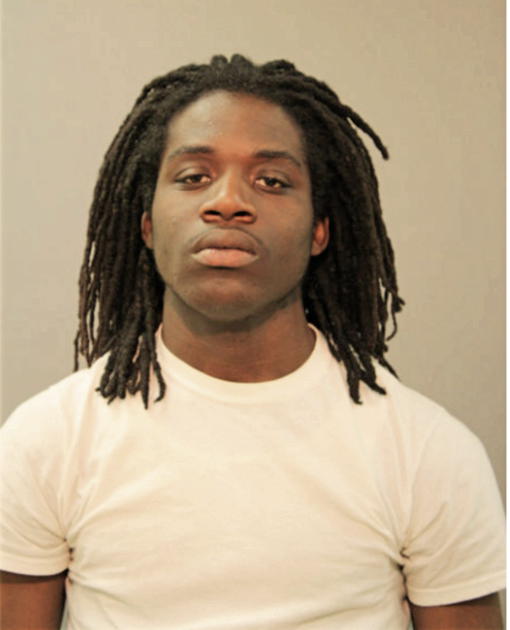 SHAWN T FREEMAN, Cook County, Illinois