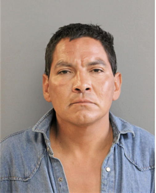JOSE L GALLEGOS, Cook County, Illinois
