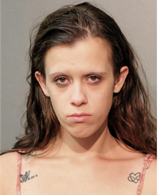 LARISA GEHRING, Cook County, Illinois
