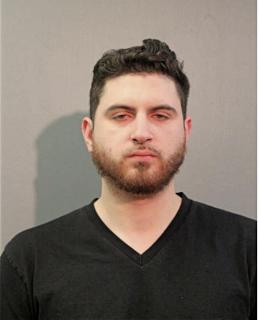 CHRISTIAN J GONZALEZ, Cook County, Illinois