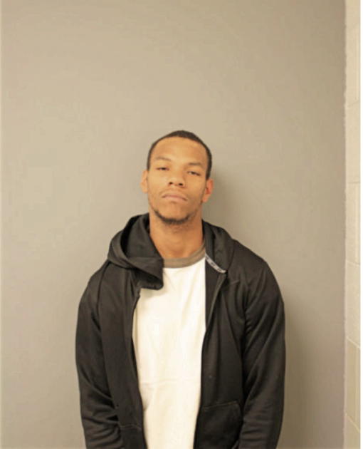 ASHLEY J JAMISON, Cook County, Illinois