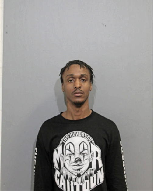 HAKEEM A JOHNSON, Cook County, Illinois