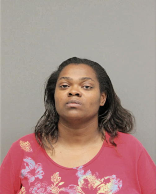 TAMIKA N KING, Cook County, Illinois
