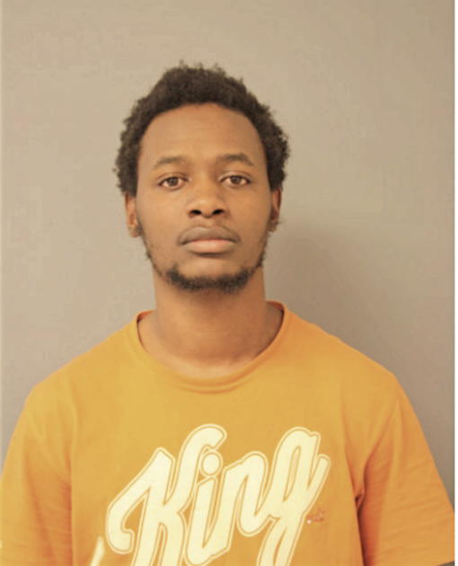 BRIAN A LEE, Cook County, Illinois
