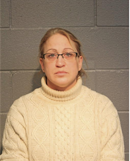 LISA LENZ, Cook County, Illinois