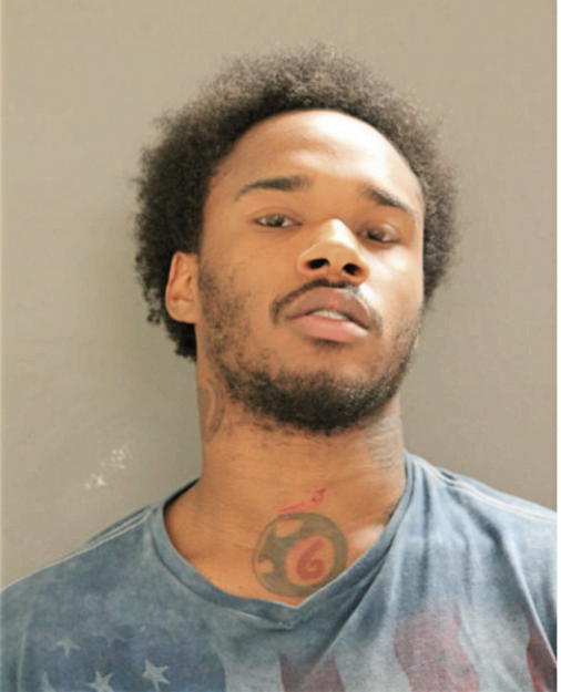 TRAVIS L MARTIN, Cook County, Illinois