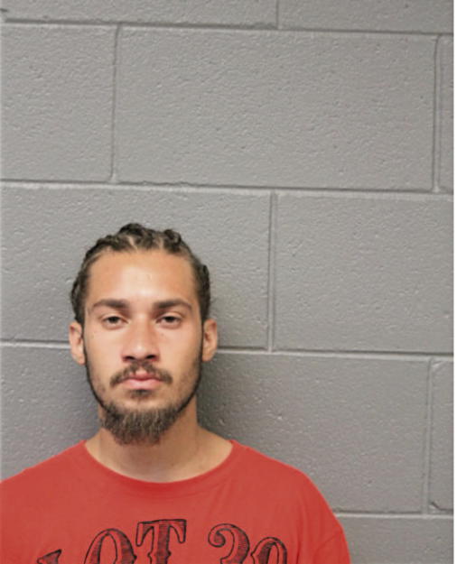 LUIS MERCADO, Cook County, Illinois