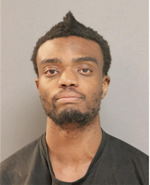 ABRAHAM J OLOYEDE, Cook County, Illinois