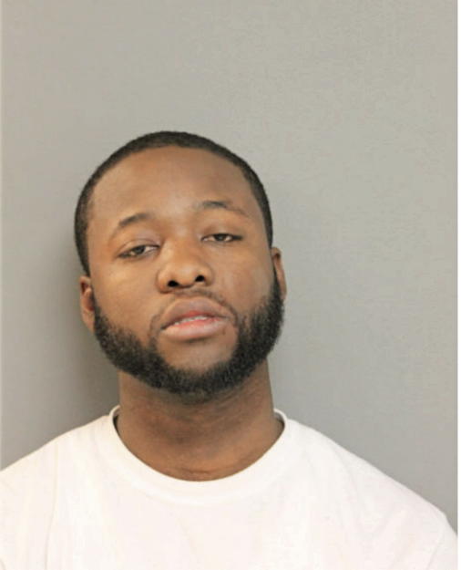 SEAN B PATTON, Cook County, Illinois