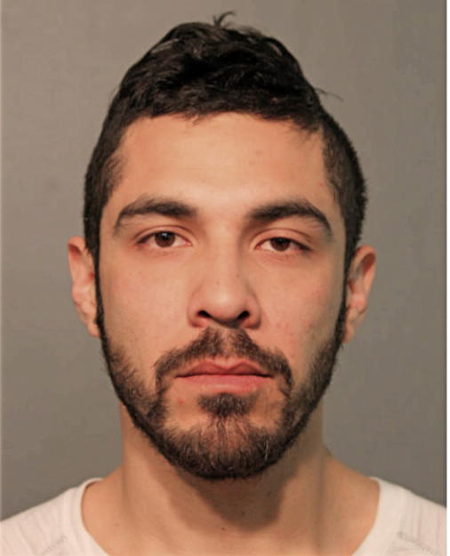 ADRIAN D RODRIGUEZ, Cook County, Illinois