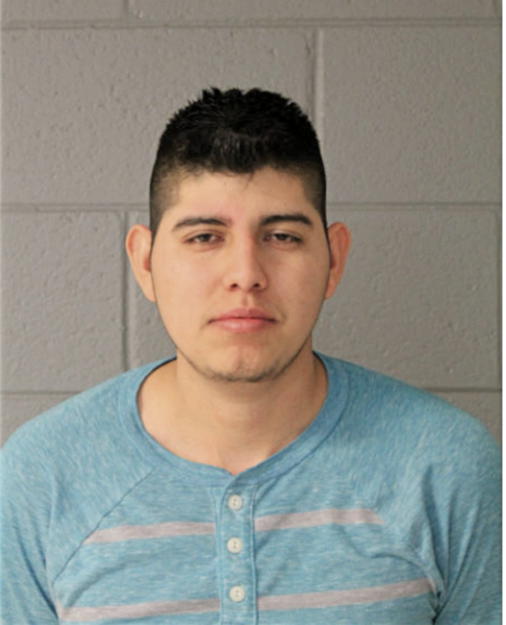 REY D SANCHEZ-HORTA, Cook County, Illinois