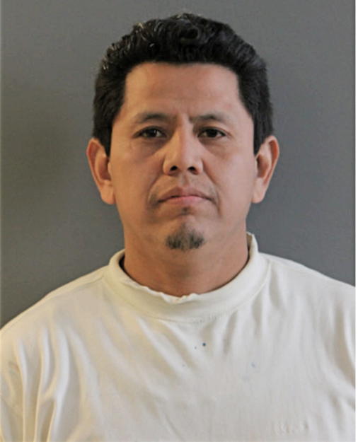 JOSE L TORRES, Cook County, Illinois