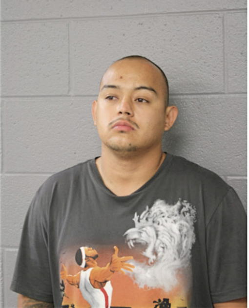 ENRIQUE VICTOR, Cook County, Illinois