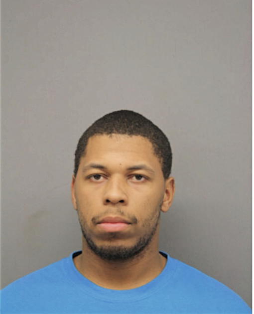 MICHAEL A WILLIAMS, Cook County, Illinois