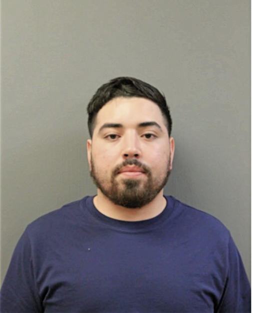 NICHOLAS A ALBARRAN, Cook County, Illinois