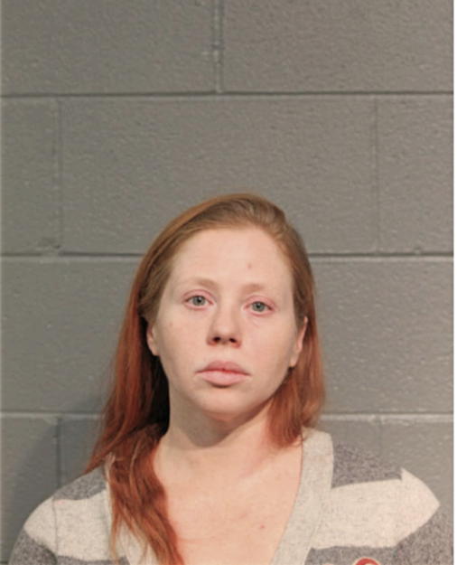 RACHEL L BANNING, Cook County, Illinois