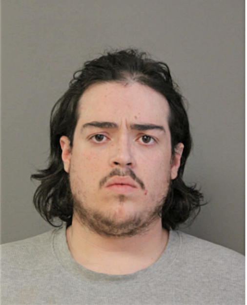 LUIS A BORGES, Cook County, Illinois