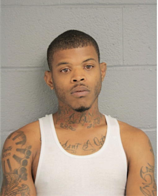SERGIO J BRISBON, Cook County, Illinois