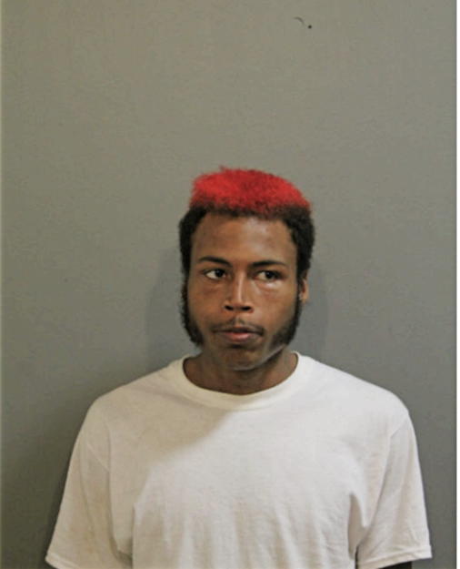 DAVID B CALMES, Cook County, Illinois