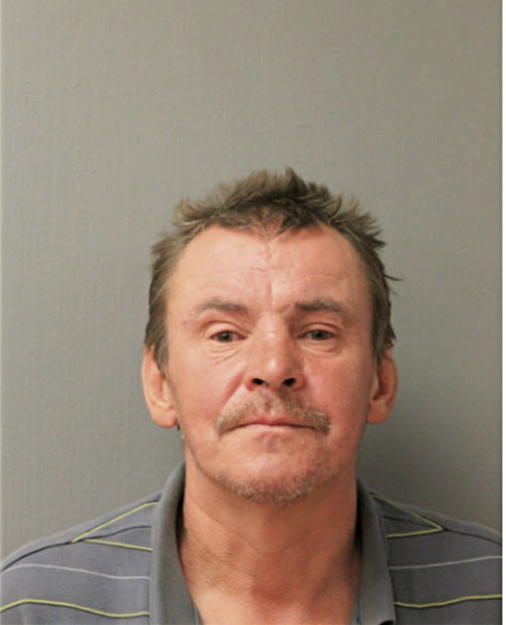 HENRYK L CHAM, Cook County, Illinois