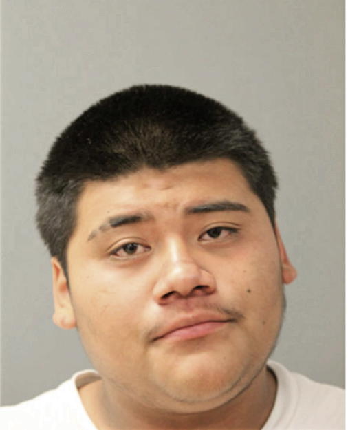DAMIAN D REYES, Cook County, Illinois