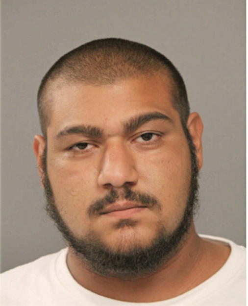 WALTER ELI, Cook County, Illinois