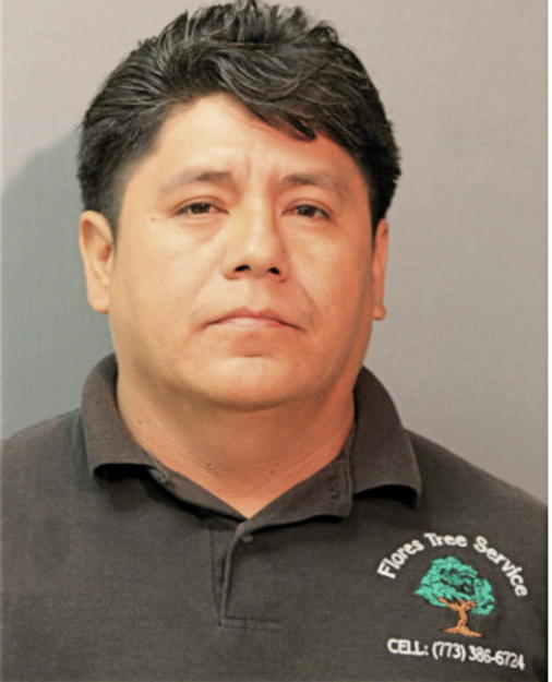 FERNANDO FLORES, Cook County, Illinois