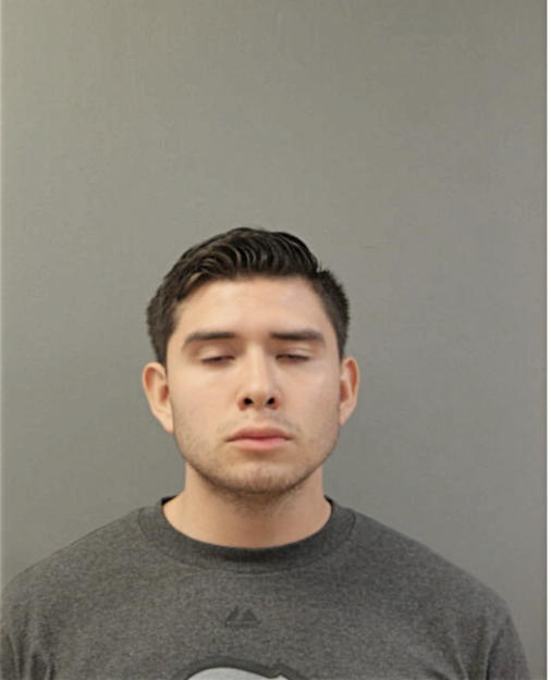 MARCO FLORES, Cook County, Illinois