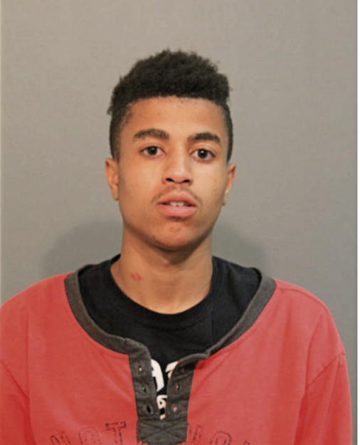 CHARLES GEORGE, Cook County, Illinois