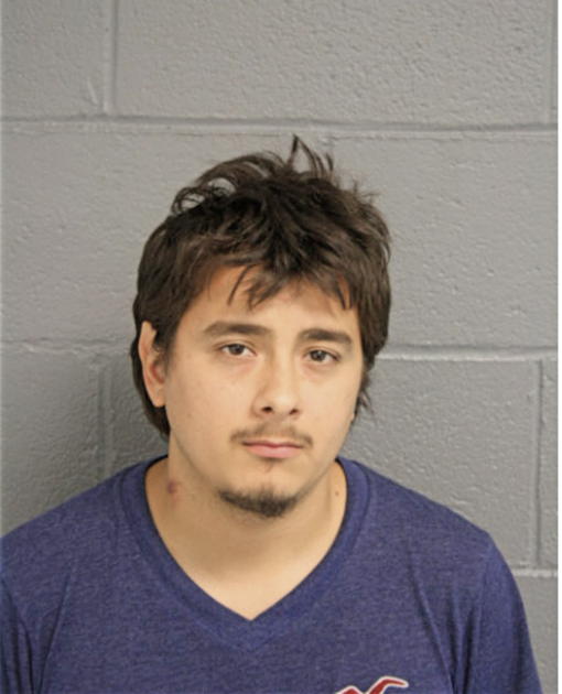 MICHAEL D HADAC, Cook County, Illinois