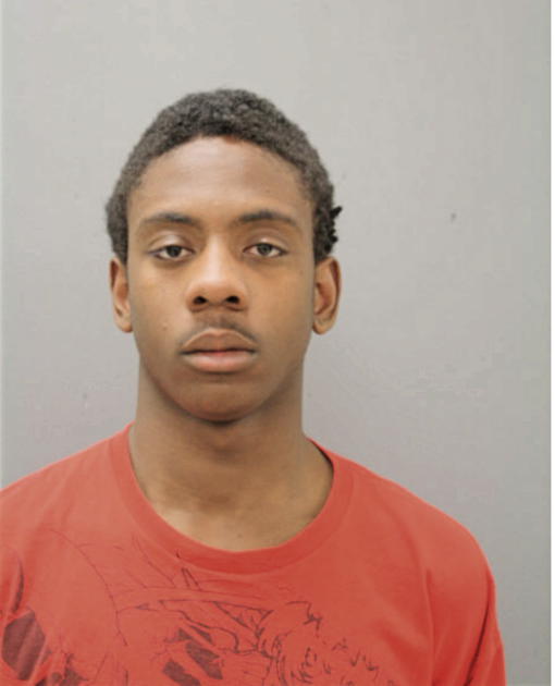 NATHAN D HANNAH, Cook County, Illinois