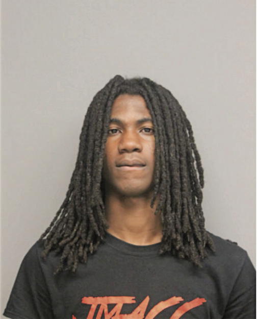 JOSHUA R HAYES, Cook County, Illinois