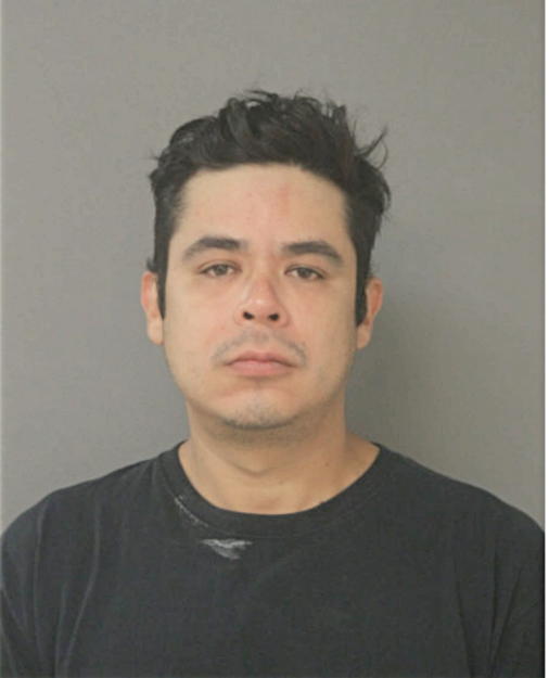 CHAVEZ-GOMEZ JOSE, Cook County, Illinois