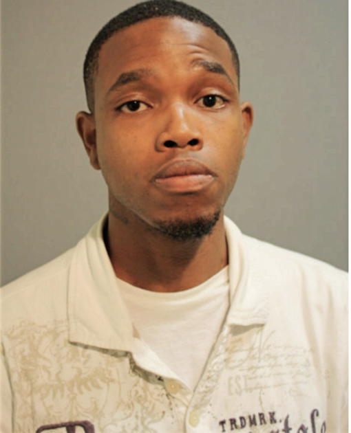 MICHAEL A K JOHNSON, Cook County, Illinois