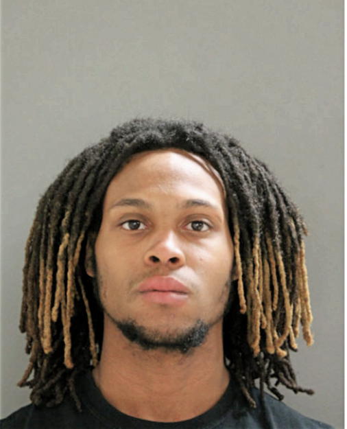TREVON T LOUIS, Cook County, Illinois