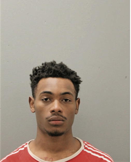 ERIK V MARTIN, Cook County, Illinois