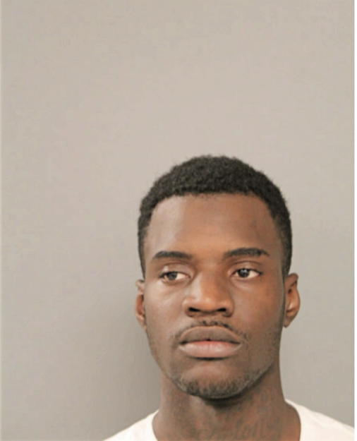 SHAWN D MONDIE, Cook County, Illinois