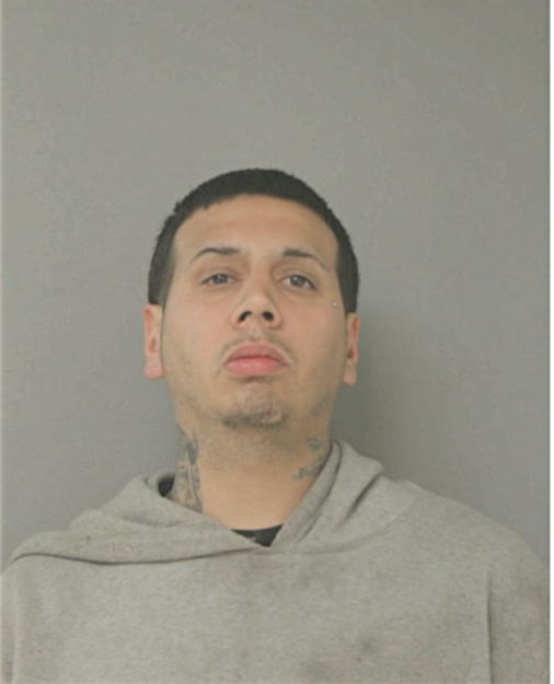 MICHAEL D OLIVAREZ, Cook County, Illinois