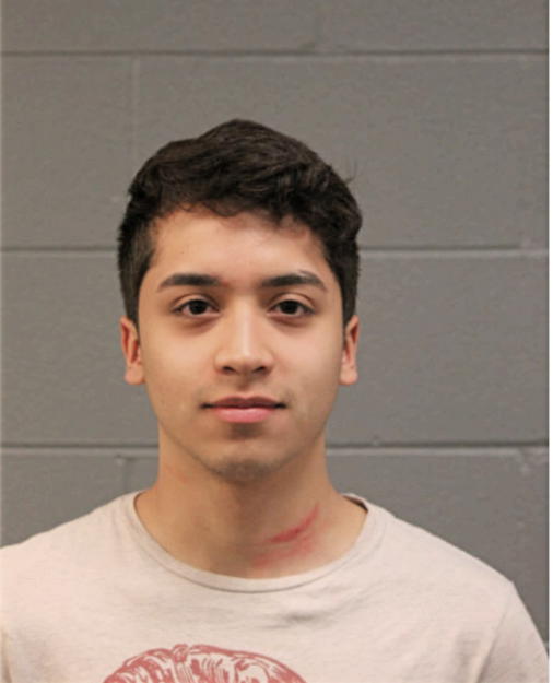 ENRIQUE A ORDAZ, Cook County, Illinois