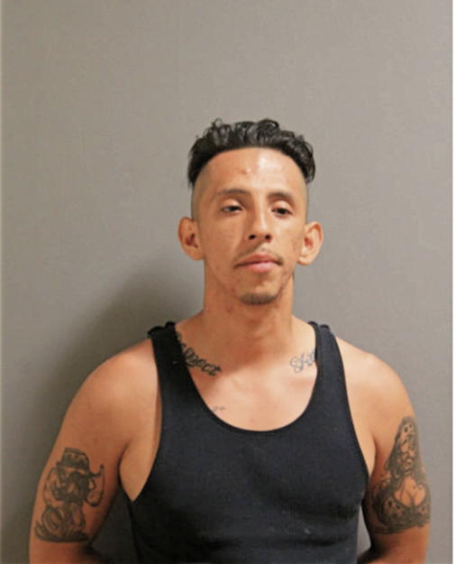 ESTEBAN CARLOS ORTIZ, Cook County, Illinois
